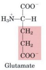 1. Negative
2. CH2CH2 Connected to a Carboxylic acid group (COO-) same as aspartate with an added CH2
3.
4. Glu
5. E