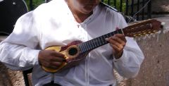 Andean small guitar