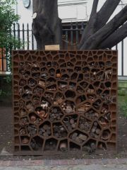In which churchyard is the Insect City ?