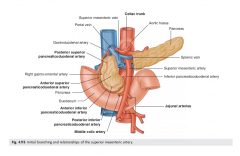 Mimed below celiac trunk

Posterior:
> neck pancreas
> superior portion duodenum
> splenic A 
Anterior
> inferior portion duodenum
> LRV
> Uncinate process pancreas 
Supplies
> jejunal A
> Ileal A
> Ileocolic A
> Right colic A
> medial colic A 

