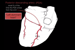 A small % of the time the PDA arises from the LCA which implies that the heart is "LEFT DOMINANT"