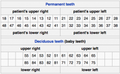  widely used by dentists internationally to associate information to a specific tooth