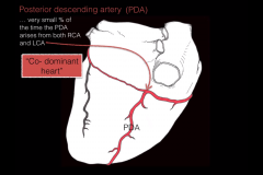 A VERY small % of the time the PDA arises from the both the RCA and LCA which implies that the heart is "CO-DOMINANT"