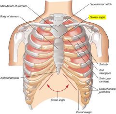 a.k.a. angle of louis (anterior to T4/T5)
 
change point between superior mediastinum and anterior mediastinum/inferior mediastinum
 
palpation at junction between manubrium and the body of the sternum at midline of body.