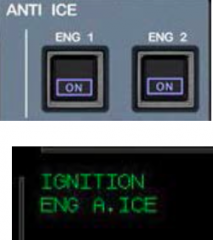 --A blue “ON” light illuminates on the respective pb. 
-- The memo section of the E/WD displays ENG A.ICE in green. 
-- Continuous ignition is automatically activated for that

								respective engine – IGNITION displays in the E/WD me...