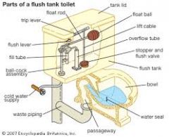 A receptacle, which holds water, utilized to flush toilet to wash out toilet system.