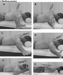 1-Isometric shoulder exer 2-Isokinetic shoulder exer; 3- Closed chain shoulder exer; 4-Coordin of scapular motion w/ trunk & hip movements;5-Axial loading shoulder exer:::alteration in the nl motion of the scapula during coordinated scapulohumeral...