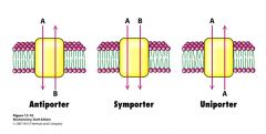 Der findes Co-transportere som ”gør flere ting på en gang”. (Stof 1=A stof 2=b) Antiportere vil transportere A ud af cellen og B ind samtidig (Na+/K+ pumpen). Symporteren transporterer A og B ind samtidig (eks. Na+ glucose) mens uniporteren transporterer 