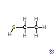 Because this molecule has a sulfhydryl group it is a __________.