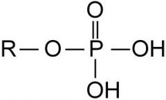 The functional group is  _______ charged when it ionizes.
a. negatively
b. positively