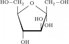 aldehyde or ketone?
