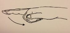 Finger flexion muscles