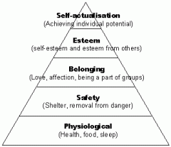 A pyramid showing how people are motivated and said one cannot ascend to the next level until the levels below are fulfilled.