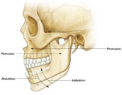 Movements of the temporomandibular joint