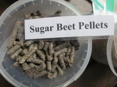 Sugarbeet Pellets