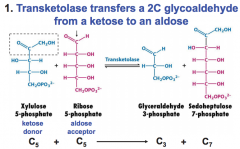 transfers 2C glycoaldehyde from a ketose to an aldose
