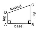 Angle A and angle B are base angles. 
Angle C and angle D are summit angles.