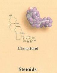 A class of lipid with a characteristic ring structure. 

-includes hormones vitamin D and cholestrol