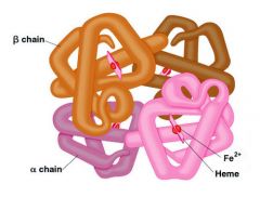 The overall three-dimensional shape of a protein containing two or more polypeptide chains (subunits); determined by the number, relative positions, and interactions of the subunits.
