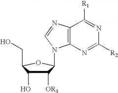 A molecule consisting of a five-carbon sugar (ribose or deoxyribose) and one of several nitrogen-containing bases.