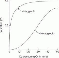 Myoglobin binding mechanism means it needs really low pO2 to unbind. Typical capillary O2 concentration is 30mmHg. Typically during vigorous exercise will dip below 10mmHg. Allowing myoglobin to release O2.