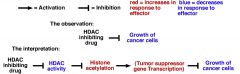 We can use the wiring diagram to generate hypotheses:The effect of the HDAC inhibitor suggests that some cancers result from altered expression of tumor suppressor genes.