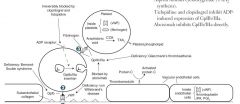 Inhibition of cyclooxygenas--> decreased TXA2 synthesis

In this way asprin inhibits clotting (TXA2 is pro-aggregation factor)