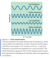 What is the relationship between amplitude and loudness?