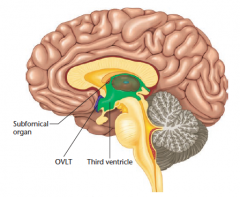 Receptoren in de hersenen voor osmotische druk en bloedvolume

Deze neuronen liggen in gebieden rond de derde ventrikel van de hersenen, waar de bloed-hersenbarrière niet voorkomtdat chemicaliën overdedragen worden tot
de toegang tot de hersenen.