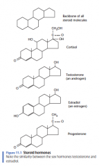 Figure 11.1 Steroid hormones
Note the similarity between the sex hormones testosterone and estradiol.