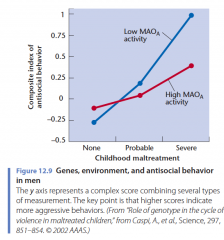Over het algemeen hebben mensen met een hoger of lagere productie van het gen geen bijzonder veschil met antisociaal gedrag, maar degenen die in hun jeugd leden en minder MAOa hadden, waren duidelijk agressiever.