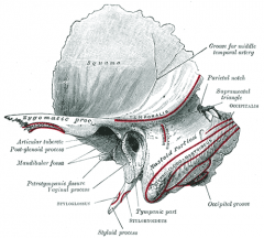 the depression in the temporal bone that articulates with the mandibular condyle. In the temporal bone, the mandibular fossa is bounded, in front, by the articular tubercle; behind, by the tympanic part of the bone, which separates it from the external ac
