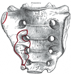 the anatomical term for the superiormost portion of the sacrum. It marks part of the border of the pelvic inlet. The rectosigmoid junction is at the level of the sacral promontory.