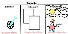 Dependent variable