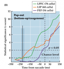 What does this image tell us about LIP and FEF in "pop-out" searches? 