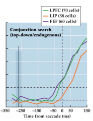 What does this image tell us about LIP and FEF in "serial" searches? 