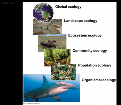 -The biosphere is the global ecosystem, the sum of all the planet’s ecosystems
-Global ecology examines the influence of energy and materials on organisms across the biosphere
