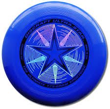 For losing the mini or frisbee golf - the losing team must...