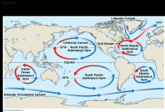 -Oceans, their currents, and large lakes moderate the climate of nearby terrestrial environments
-The Gulf Stream carries warm water from the equator to the North Atlantic
-During the day, air rises over warm land and draws a cool breeze from th...