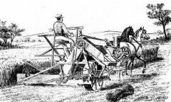A horse-pulled machine that automatically cut and piled grains