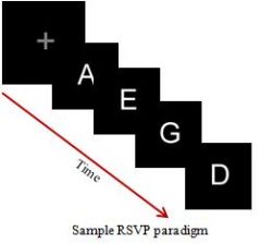 Dual task rapid serial visual searh presentatios (RSVP) reveal the _____ of attention in the "ventral attention stream"
