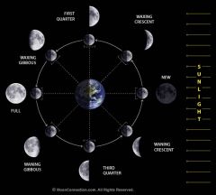 New moon, Waxing Crescent, first quarter, waxing gibbous, Full moon, Waning gibbous, last/third quarter and waning crescent (THIS IS THE ORDER IF THE SUN IS ON THE RIGHT!!!!)