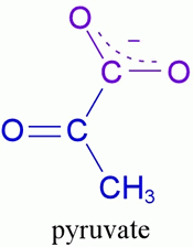 ----------- is a three carbon compound