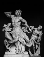 Laocoon and Sons
By Athanadoros, Hagesandros, Polypros of Rhodes
Hellenistic Greek (Roman copy)