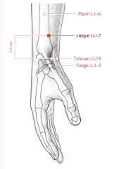 -On the radial aspect of forearm
-Approx. 1.5 c proximal to LI 5 (Yangxi)
-In the cleft btw the t. of brachioradialis and ab. policies longus