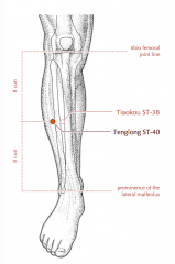 -8 c superior to the lateral malleolus
(midway btw the tibiofemoral joint line and the lateral malleolus)
-two finger-breaths lateral to the anterior crest of the tibia