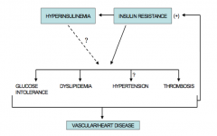 Insulin resistance leads to:
- Glucose intolerance
- Dyslipidemia
- Hypertension
- Thrombosis

These all lead to vascular / heart disease, and perpetuate the insulin resistance