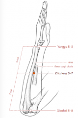 -On a line connecting SI 5 (Yang Gu) and SI 8 (Xiao Hai)
-5 c proximal to SI 5
-btw the anterior border of the ulna and the muscle belly of flexor carpi ulnas