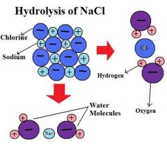 Salt hydrolysis is a type of hydrolysis