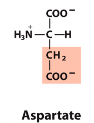 Aspartic Acid